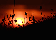 2022-06-01/c0d3507875d05e9af2d7506e8aa2e28a_0a1e3d7552b65a812dc6a126fa4677c2