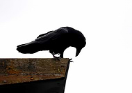 2022-06-05/eebd9ab27309538470915aea61b792f8_331cabe3c52aaacb43bd0d4638616b1f