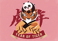 collection-preview-3