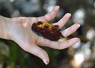 2022-06-12/335a913430bac778147ac814fd5e66c7_6aa5416a430a69ec9cdc2c0b4cf2e329