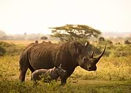 2022-06-13/99e956ecceeb471fad1f1ba67b41bcd0_4c2e9be2f03bed28e702d823aa870dcd