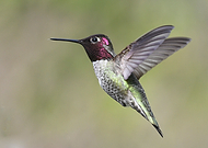 2022-06-15/2d5a5b845c5dc60e4d42bfc82ed0c1a0_d6d14bde837001a99973626032837131