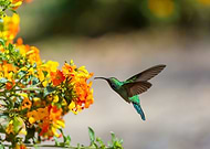 2022-06-15/a5a98767f505c41d205f129b9f3b31af_8887cb62b2294b025bd458f4a4e41559