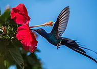 2022-06-15/df0a3271a3c25038d48982fdc561c476_4c08dcd74ad69a840835baa9960f0a04