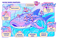 2022-06-17/d4da5e99d5c245dacc9919665ea9d93f_0b81e19b75644c8df6df801445bf18c2