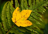 2022-06-18/bcf3723de4fc8df54b7515d9e1a019f0_8e7b2de79c0b6eca77cdbd7f56cfc213