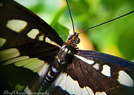 2022-06-24/52978646def6fbb76aa12622c3a2953c_bac37086a998a56386b5951929d8844c