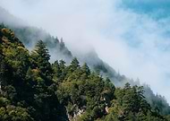 2022-06-24/b0fecf014ba31b5cf366e37a65966dde_bd76cf5751aa841d540e0a570e3823af