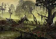 collection-preview-1