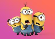 collection-preview-1