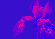 2022-07-15/49add501b30d34f213c12f7c24f8ff82_56737c2ec7691040d57025704ec99f22