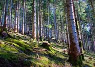 2022-07-15/6f30ee1fcc985f1f1cdbddabd58130f5_ee7c57d7a9ffb8c088ae0a8bca3e428b