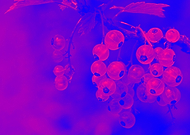 2022-07-15/a132f2a1f7c22e1d19e5be1c824b7d0c_506c67708a306e59b9a1eeed7d7b7c6d