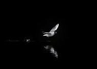 2022-07-17/2a944001a252970a2057d37c9b6cab5c_5cfab12aa5e0b3e466ec05168b49a4f6