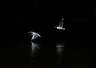 2022-07-17/9bd5d29a4843e456c43f14401ca76930_cc1283c6b5a1a113aebd9d08ed025fbe