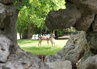 2022-07-17/c81386e8b45b0b7a1731f1097822170f_99e5566f189c0d2916d99cea79c76f50