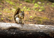 2022-07-19/5fee0a01b8ac51307818d249611fadc8_db17e238fb93e1fcf0443f2a46d3d19f