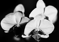 2022-07-19/6164b2f7b177b3a0932721d4059fb691_469f692deebbb9b73f289cf856f2858d