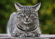 2022-07-20/e60aa9cd1d3786b1ab0da271d334eca2_03b3d9e86fb793b89980d7458eaea2b2