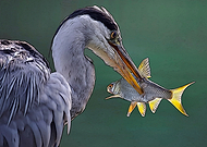 2022-07-20/ed512e122a1b1ea10670ac3870714aec_1b0a2627435a4042fa4ad893b2a0d486