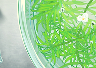 2022-07-23/1a74073e891650cafdb73fe84f81d0e8_b9f66f6484b23af222f5ed7acd9237b1