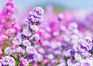 2022-07-26/58a3f6db6a0ce6800417b9eef630e329_d9b17a3372fdd5fa97d93759d437b40d