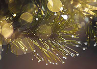 2022-08-02/3b41dc40720d61f0c9103ee82fb4cf2a_a673307908340bc24f4ee246b530c793