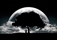 2022-08-04/6b35c9c1b97ef83437e7d53b4e21cd24_c668bd4ae8ccc3354659b626ed9c799b