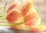 2022-08-06/23044e6d0a9b1ef8dc0a0cbd3f4b0d5f_e067e536008eec382a7b15c2b477c255