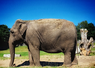 2022-08-09/5011aa4a5c83daf2d019a999e74c92c9_a5693316fb0149ef65d04909e27e7717