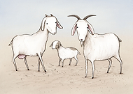 2022-08-15/25cf70859917a37f97b1bdc6424daf28_bd01435aa79c08df7053f1d75fcd24e4