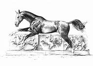 2022-08-21/c6d2f823ddddd6c4aa3073819039bb83_3ad8b9aba624d0ffbccaea67ff37f02c