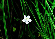 2022-08-22/688cb35e9b16ed1a14d6729d76138bef_b2cd7571fd2c1438650e908ecf903af8