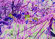 2022-08-22/7bc5b0ee0632ec0d0ca074c406bd8cc6_98120aa1cbc2d06531d47bf0b96a9ec4