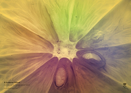 2022-08-22/98ab737c9c45e78c09933daf15e285e0_97b3e1d43477eb7bc945eff3ddf09c6b