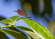 2022-08-22/dffe51a3cdf4cc5af14f7d1a03d6e642_d7e6c2b4ea0a01afbf7b8a7ef9e6d49d