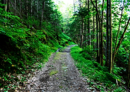 2022-08-22/f9b3f53b2c1e2459b3d5e233fc6f4421_0e0a59aae9a3a2c80b0fcc165b02d12a