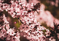 2022-08-24/2eab4dd0fc828e41e50e27486f3267fd_1f7ab8c4d9ce0dfc054854964770b6f0