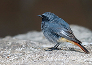 2022-08-24/9a31bfccc8f044b96de8c034f406cc78_5aba758498f4c77bf42e45a1b8a63a73