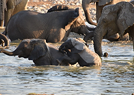 2022-08-27/339f3396bc03887727b35e6b1514ffa8_10b9dba550442a139d6a8c0de2c3b535