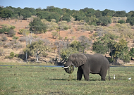 2022-08-27/4192bff6618adb17ddcd197b38d56504_021eba5d4269795c642f753cbc23b1db