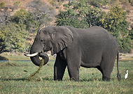 2022-08-27/9e8a8335bc330dd391d5d2cdeaee5807_365e230a3f90b39ce8785aa3ea87d18d