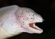 2022-08-30/315aa3b746ab9f010a0feb9bfd732cbb_394abc829ad90a78acafe598b777bb79