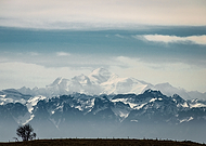 2022-08-30/9e07d4bf0703295bf77283a7310b4b9c_bee313b362f2083e525f62576904d0cd