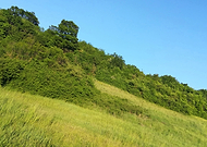 2022-08-31/ee9e69e77933ac85cd3bfc62248dc2e5_258029376bc388b3bb0eb40f6c959cab