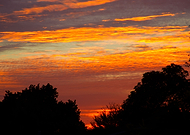 2022-09-03/3c05c3d254b82bc40427731d9c82ed65_bf49e96ea254ecdbcdbea33a38026971