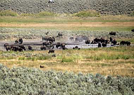 2022-09-03/7f3fd35ea8839963ec02d68120b3a09b_b3ccd7f7f7d2278babfe8facbdb6cba8