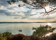 2022-09-06/f52f3197d411922ed0976831f96b598d_26702dec2ecb3cf051d6959c9427385d