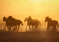 2022-09-07/044a212e8e60cf0570d36fe19af66aad_ef49f92af5417ed08a13177fdf58fe10