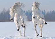 2022-09-07/068fc879ac246ed883e0bec336049771_ac83132770189fd32698babe89fdfe7c